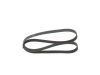 V-Ribbed Belt -