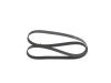 V-Ribbed Belt -