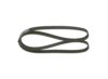 V-Ribbed Belt -