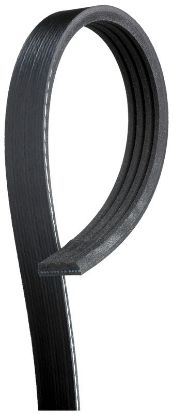 V-Ribbed Belt HONDA, KIA, MAZDA, TOYOTA