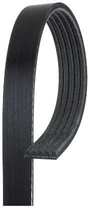 V-Ribbed Belt VAG - 038 903 137 H