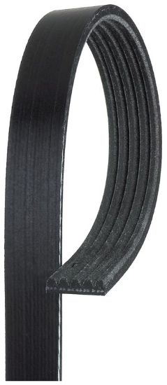 V-Ribbed Belt VAG - 038 903 137 H