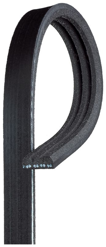V-Ribbed Belt ELANTRA (XD), MATRIX (FC)