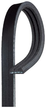 V-Ribbed Belt ELANTRA (XD), MATRIX (FC)