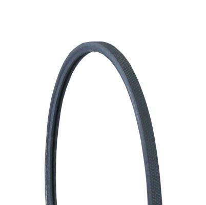 V-Ribbed Belt 2PJ838-CONT