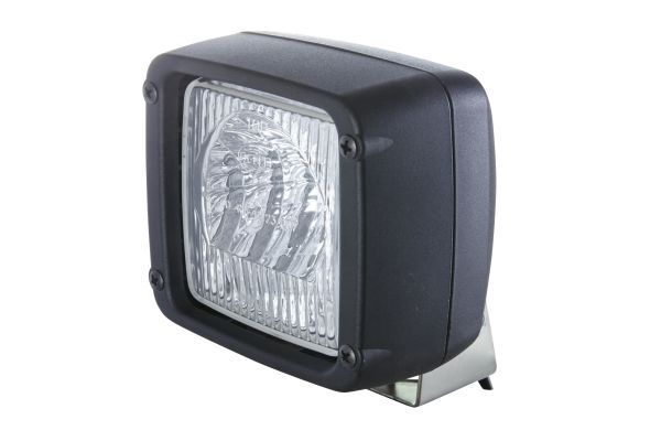 Reverse Light -