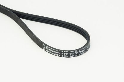 V-Ribbed Belt - V-Ribbed Belt -