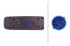 Tail Light Assembly -