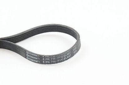 V-Ribbed Belt 3 (BK), 5 (CR19), 5 (CW)