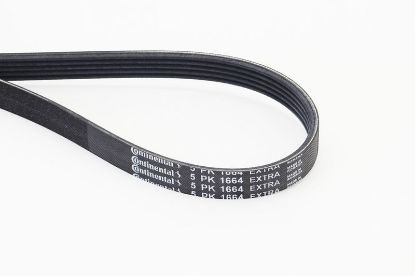 V-Ribbed Belt - V-Ribbed Belt -