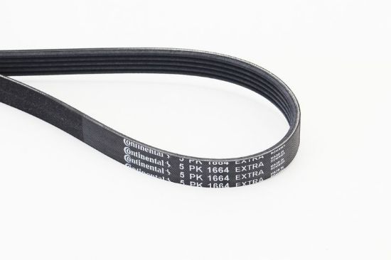 V-Ribbed Belt -