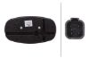Tail Light Assembly -