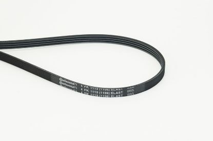 V-Ribbed Belt - V-Ribbed Belt -