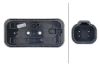 Tail Light Assembly -