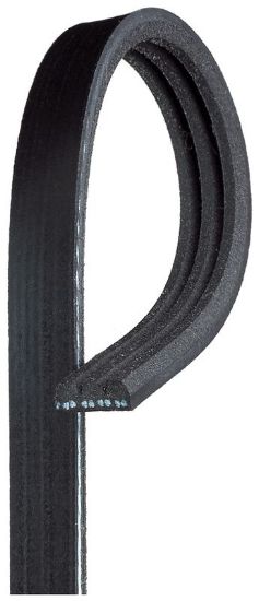 V-Ribbed Belt DOBLO Cargo (223)