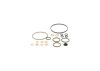 Seal Kit, injector pump 93161648 IVECO