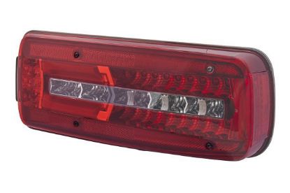Tail Light Assembly -