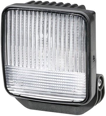 Reverse Light -