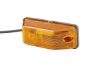 Auxiliary Direction Indicator -