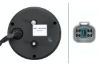 Tail Light Assembly -