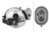 Rear Fog Light -