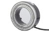 Tail Light Assembly -