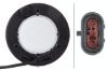 Tail Light Assembly -