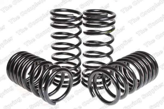 Suspension Set, springs madaldus Ford ESCORT 1,