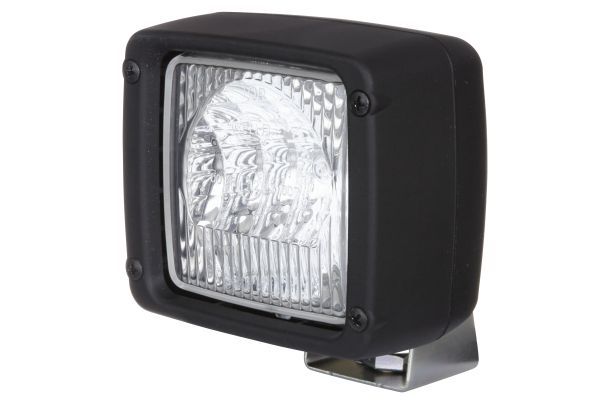 Reverse Light -