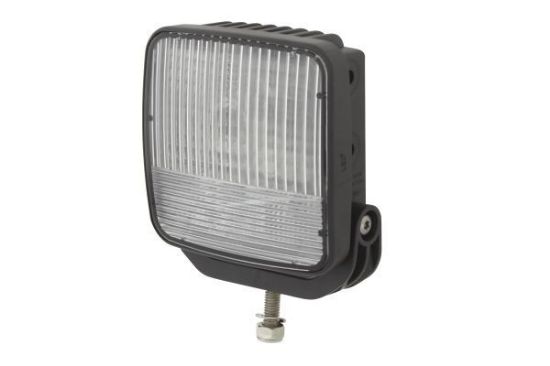 Reverse Light -