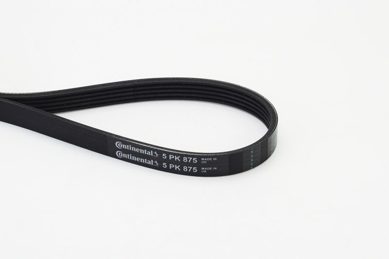 V-Ribbed Belt 5PK875-CONT