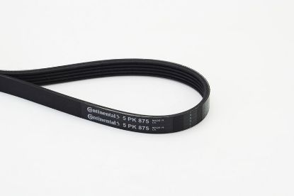 V-Ribbed Belt 5PK875-CONT