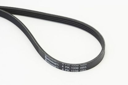 V-Ribbed Belt - V-Ribbed Belt -
