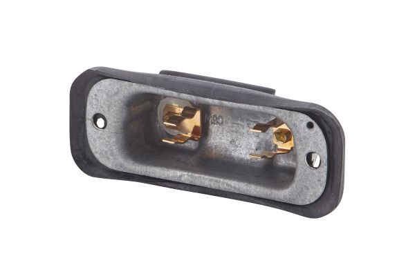 Licence Plate Light SCANIA - 257 933 - E1 12958