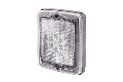 Tail Light -