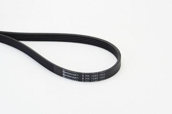 V-Ribbed Belt -
