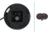 Tail Light Assembly -