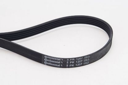 V-Ribbed Belt - V-Ribbed Belt -