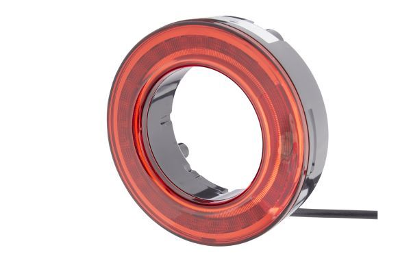 Tail Light Assembly -