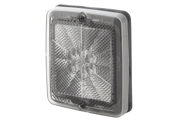 Reverse Light -