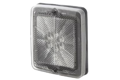 Reverse Light -