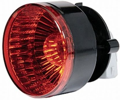 Stop Light -