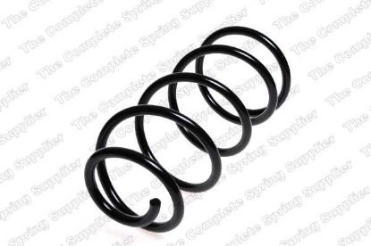 Suspension Spring FORD - 1 318 124
