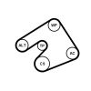 Water Pump + V-Ribbed Belt Kit -