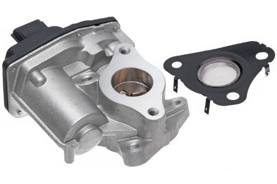 EGR Valve -
