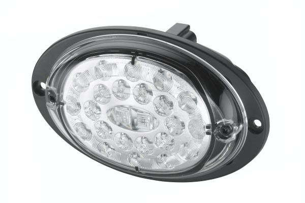 Tail Light Assembly -