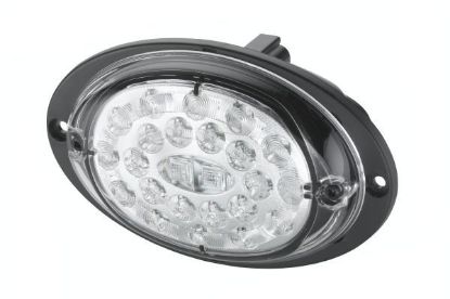 Tail Light Assembly -