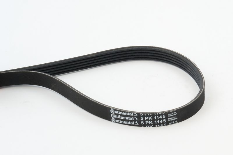 V-Ribbed Belt 5PK1145-CONT