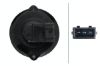 Tail Light Assembly -