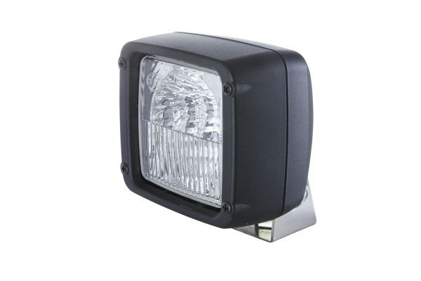 Reverse Light -